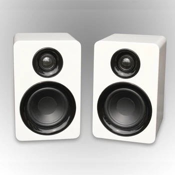 use monitor speakers