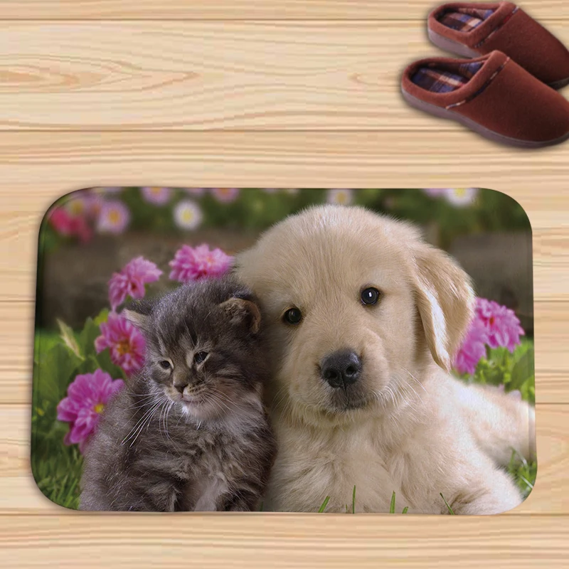 Warna Hewan Lucu Beberapa Pugs Anjing Dan Kucing Warna Pintu Tikar