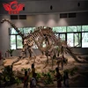 lifesize museum resin Dinosaur fossil skeleton for sale