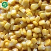 iqf frozen yellow corn kernels and frozen sweet corn kernels packing