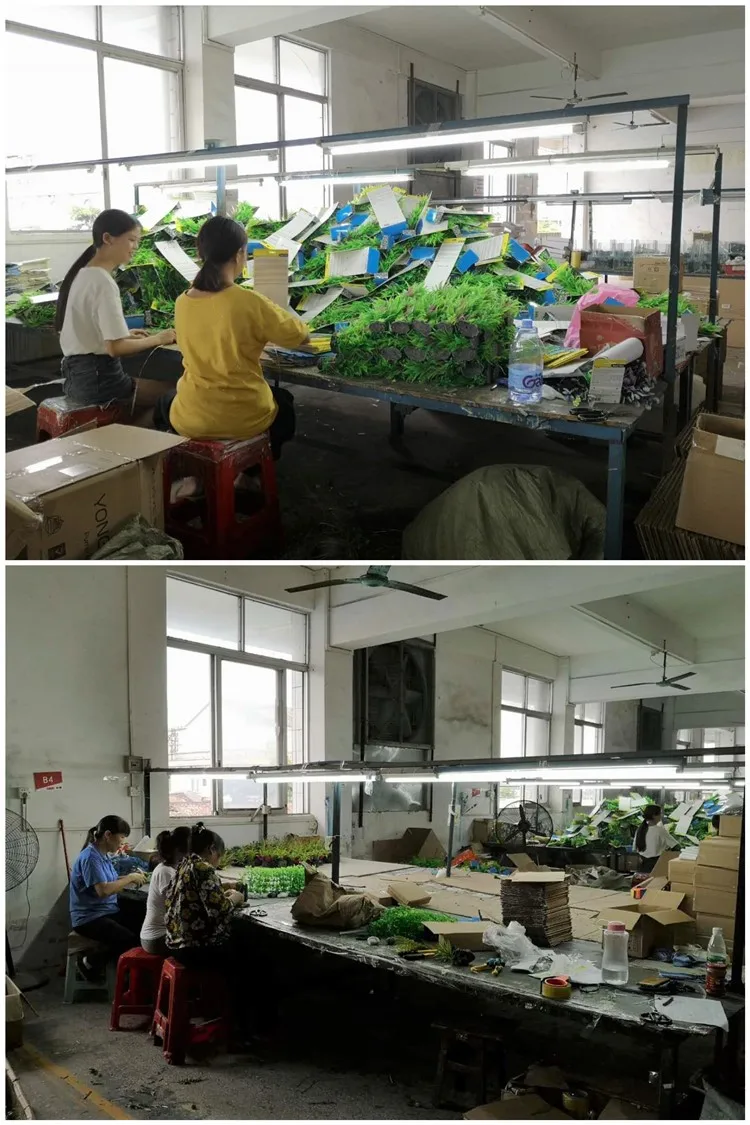 plastix  plants workshop .jpg