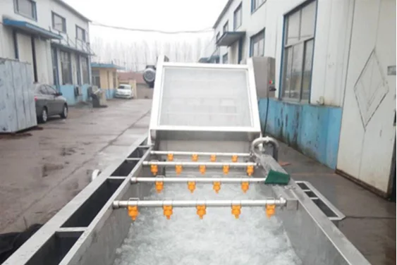 High Quality Industrial Fruit and vegetable Washing Machine Price