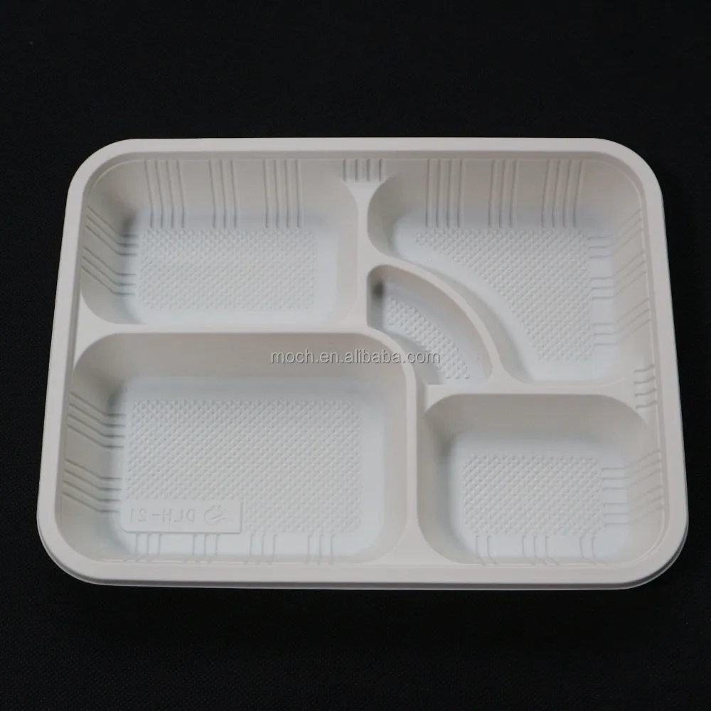 disposable sectioned plates
