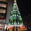 Customized 10m 12m 15m 18m 20m christmas giant commercial tree for mall