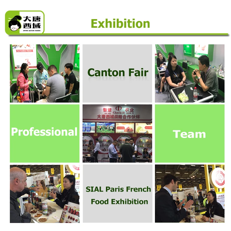 Hot selling Chinese xinjiang walnut kernel shelled light halves