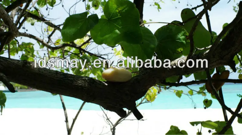 QQ20130320132059.jpg