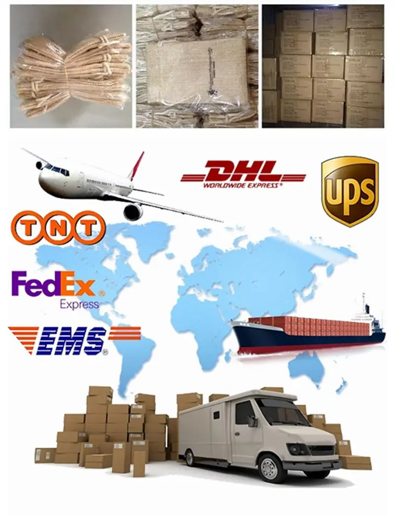 shipment