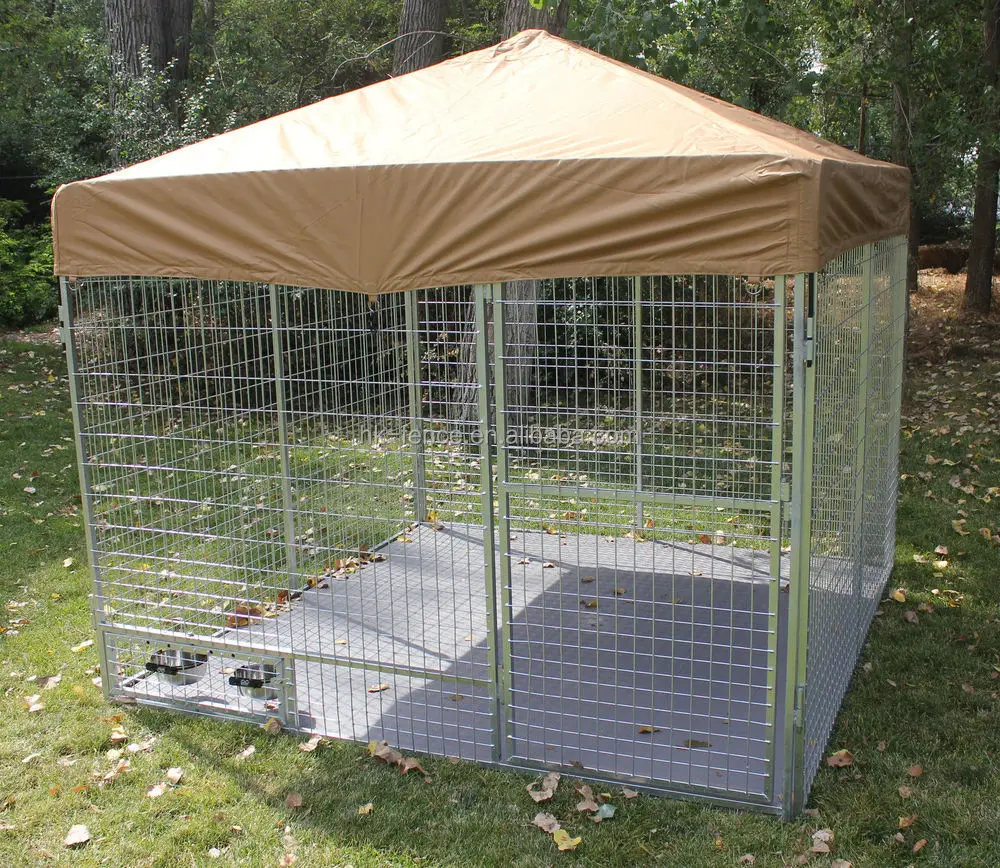 professional dog kennel