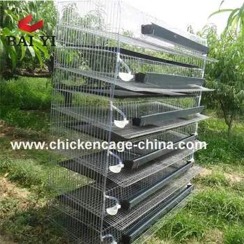 Quail Coopsquail Cages For Sale Buy Quail Cages For Salequail Coops For Salequail Farming Product On Alibabacom