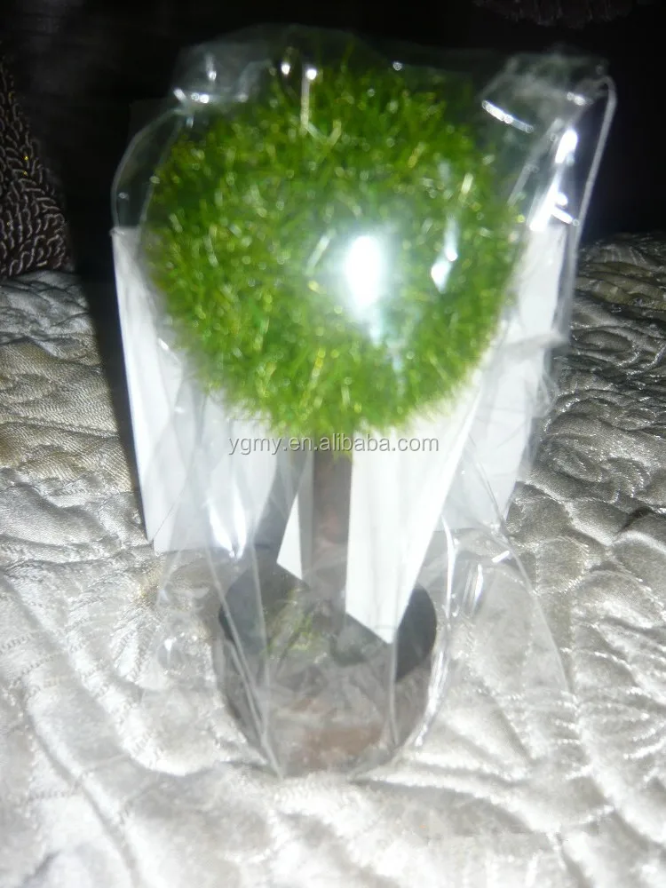 Tree Photo And Place Card Holder Wedding Table Decoration Buy Place