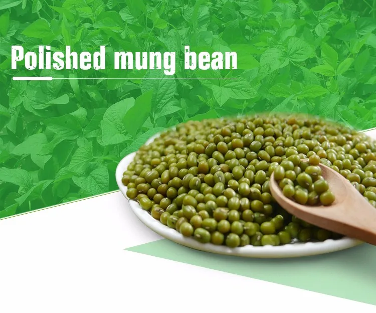 Agricultural crop green mung bean buyers with lower price