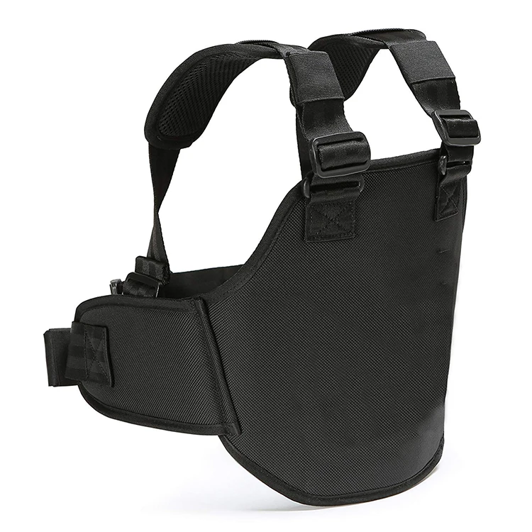 fancy bag 1208.jpg