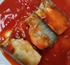 China Best Canned Mackerel in Tomato Sauce