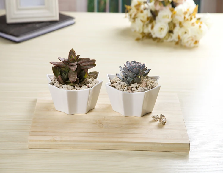 Geometric Design Miniature Indoor Planters