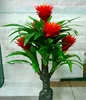 flowering red medium artificial tree welcoming plant flower green trees