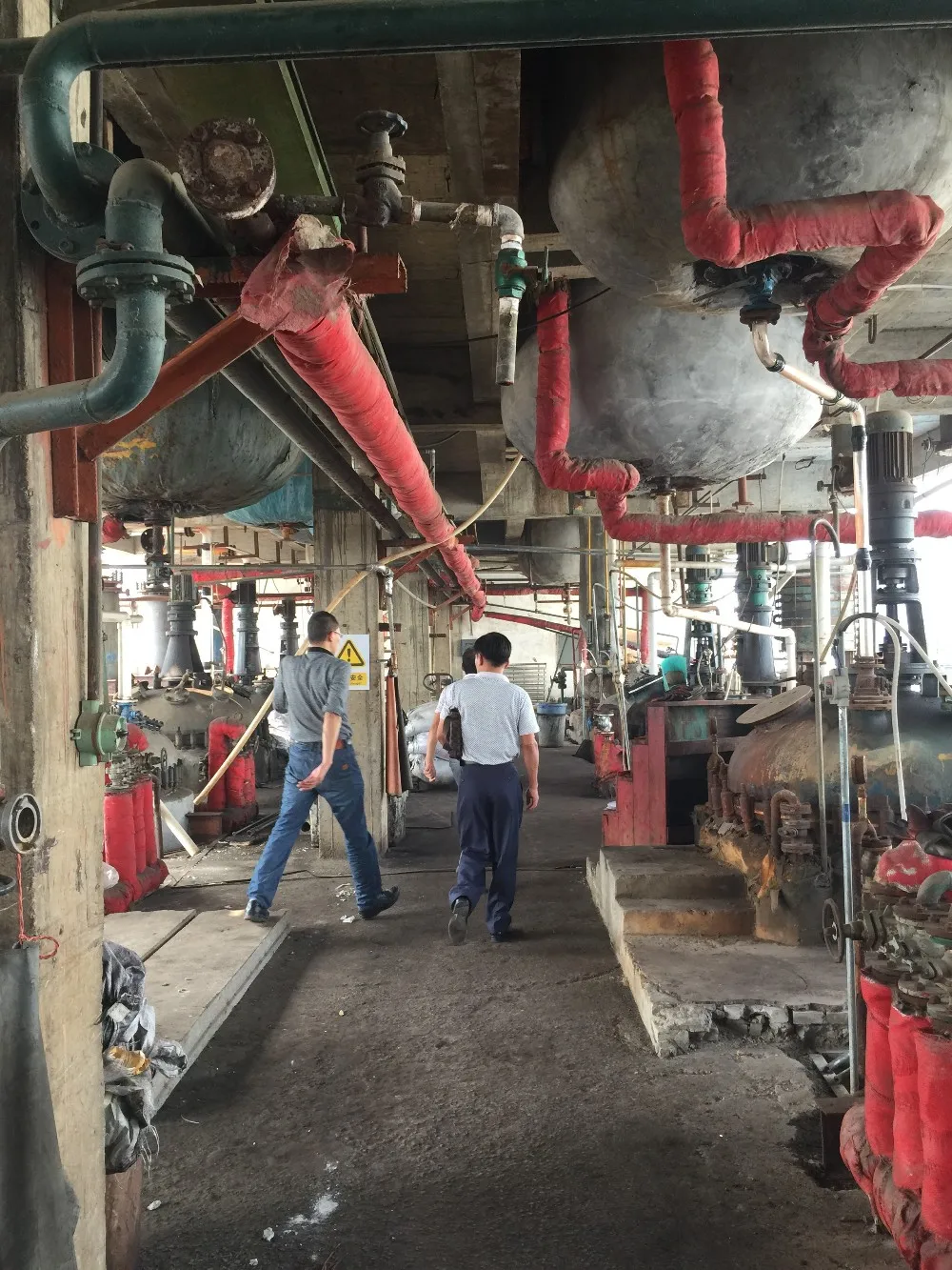 100% natural pancreatic enzymes / pancreatin