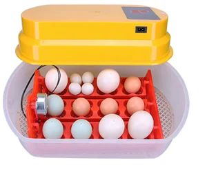 迷你容量鸡蛋孵化器8-112 pcs家用鸡蛋孵化器出售