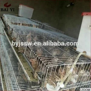 Used Quail Cages For Sale Quail Cage System Quail Cage Layer