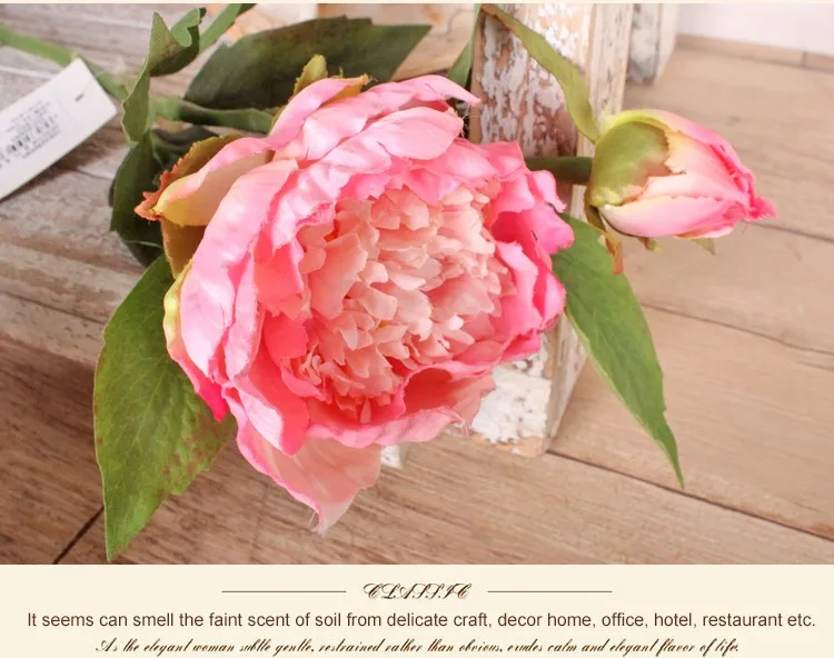 Wholesale Single Stem Fresh Cut Peony Flowers For Wedding Decoration