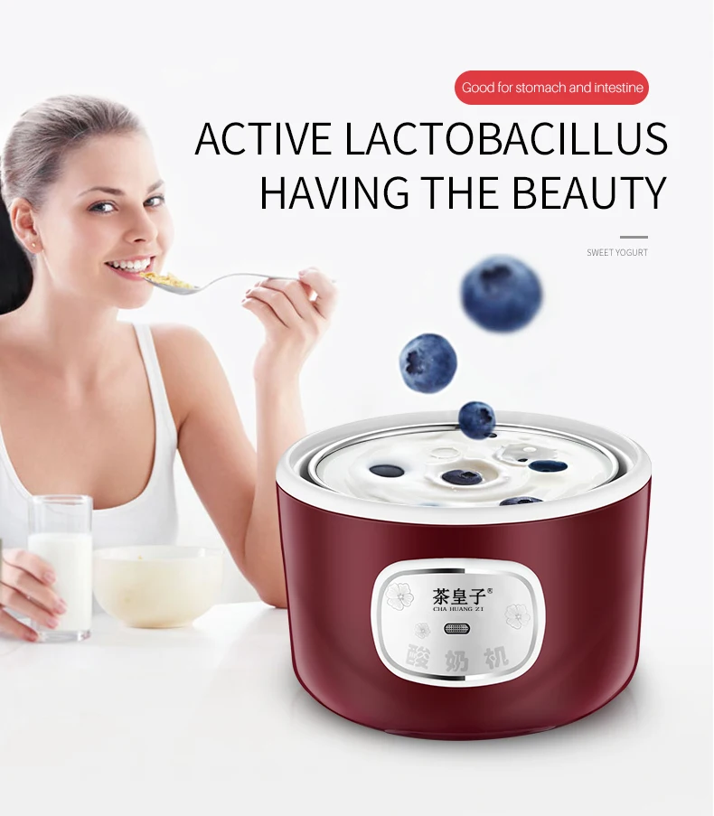 Factory Direct Sales Stainless Steel 1L 220V Automatic Yogurt Maker Machine 4 Glass Jar