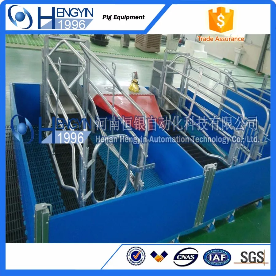 Pig Feeding Equipment Automatic Animal Feeding System - Buy Pig ...