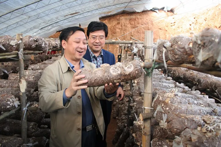 Cheap Autoclave For Mushroom Cultivation Mushroom Farming Equipment