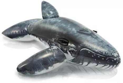 great white shark pool float