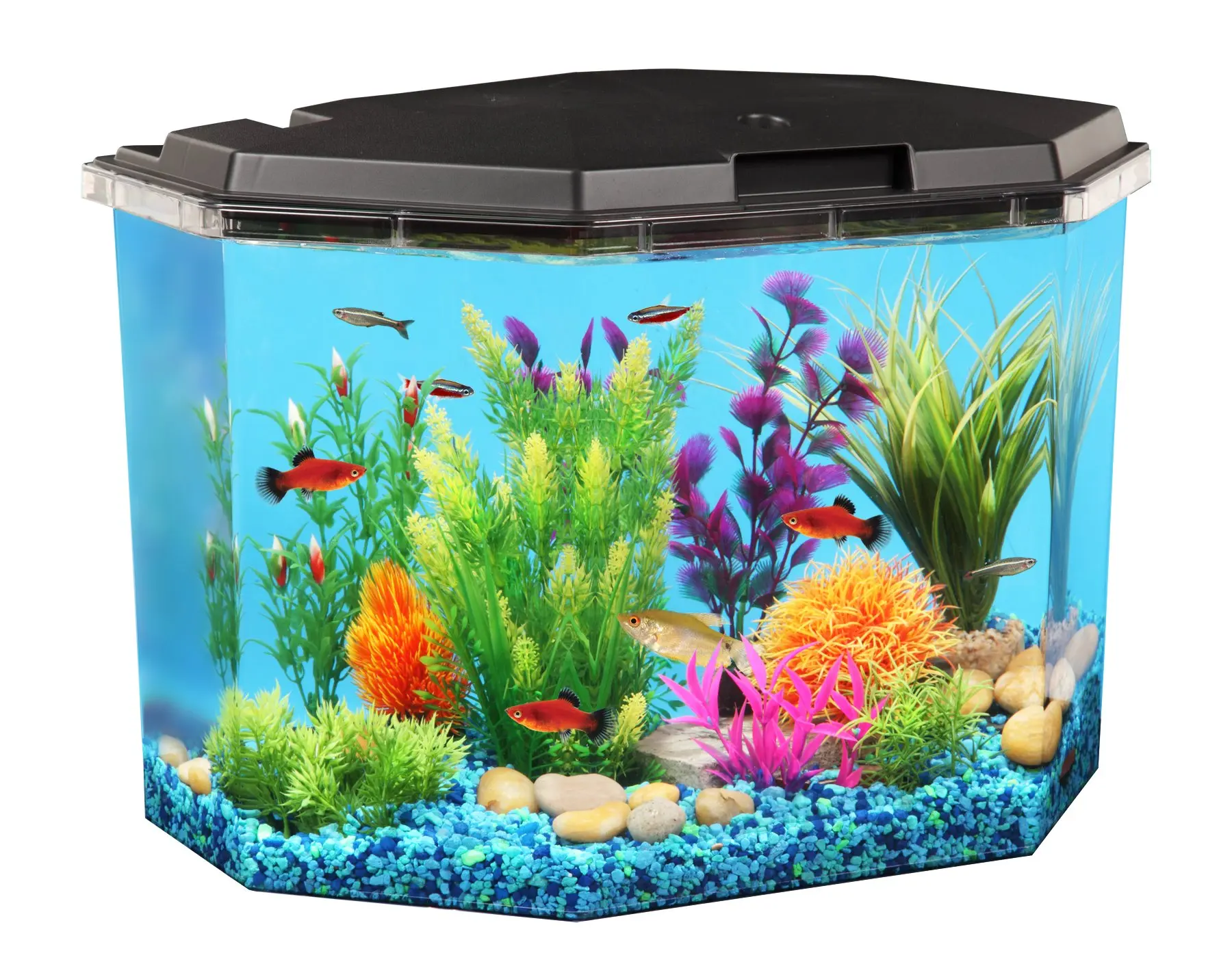 Buy Koller Products AquaView 6.5Gallon Fish Tank with