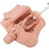 Advanced hand-held delivery model Childbirth model
