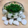 landscaping garden pure white quartzite marble tumbled pebbles and cobbles
