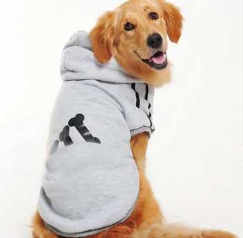 large dog apparel