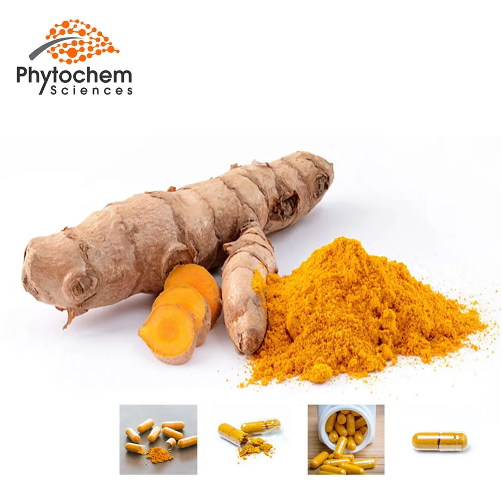 organic-dried-root-powder-turmeric-buy-turmeric-95-curcumin-powder