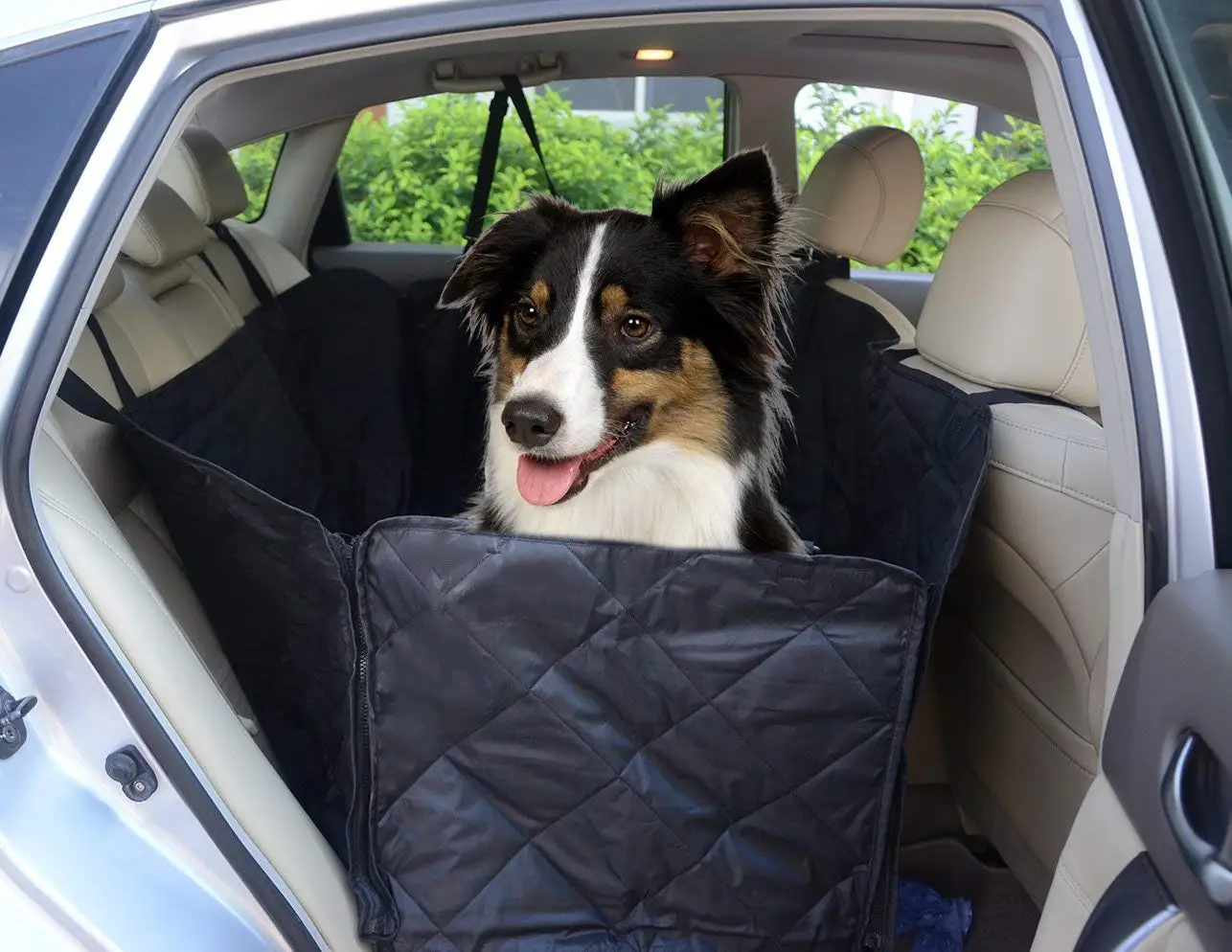 Чехол для собак в багажник пленка