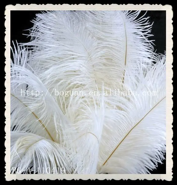 White Ostrich Feather For Vase Decoration Buy Vase Decoration