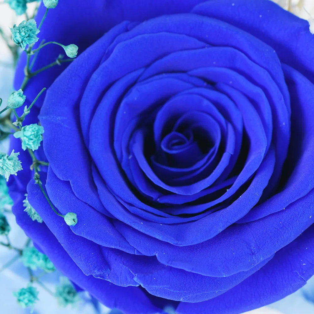 product name: product market manufacture blue eternal rose in