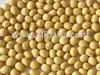 Yellow Soybean GMO - SOY BEAN GMO GRADE 2