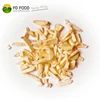 Bulk packaging Freeze Dried Ginger/Ginger Powder