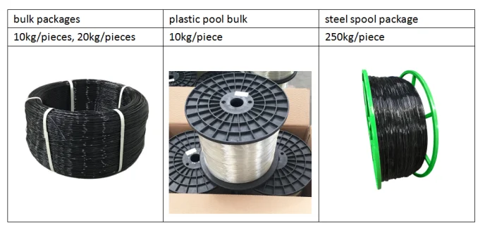 paste-pic-dp_uuid_6bwad