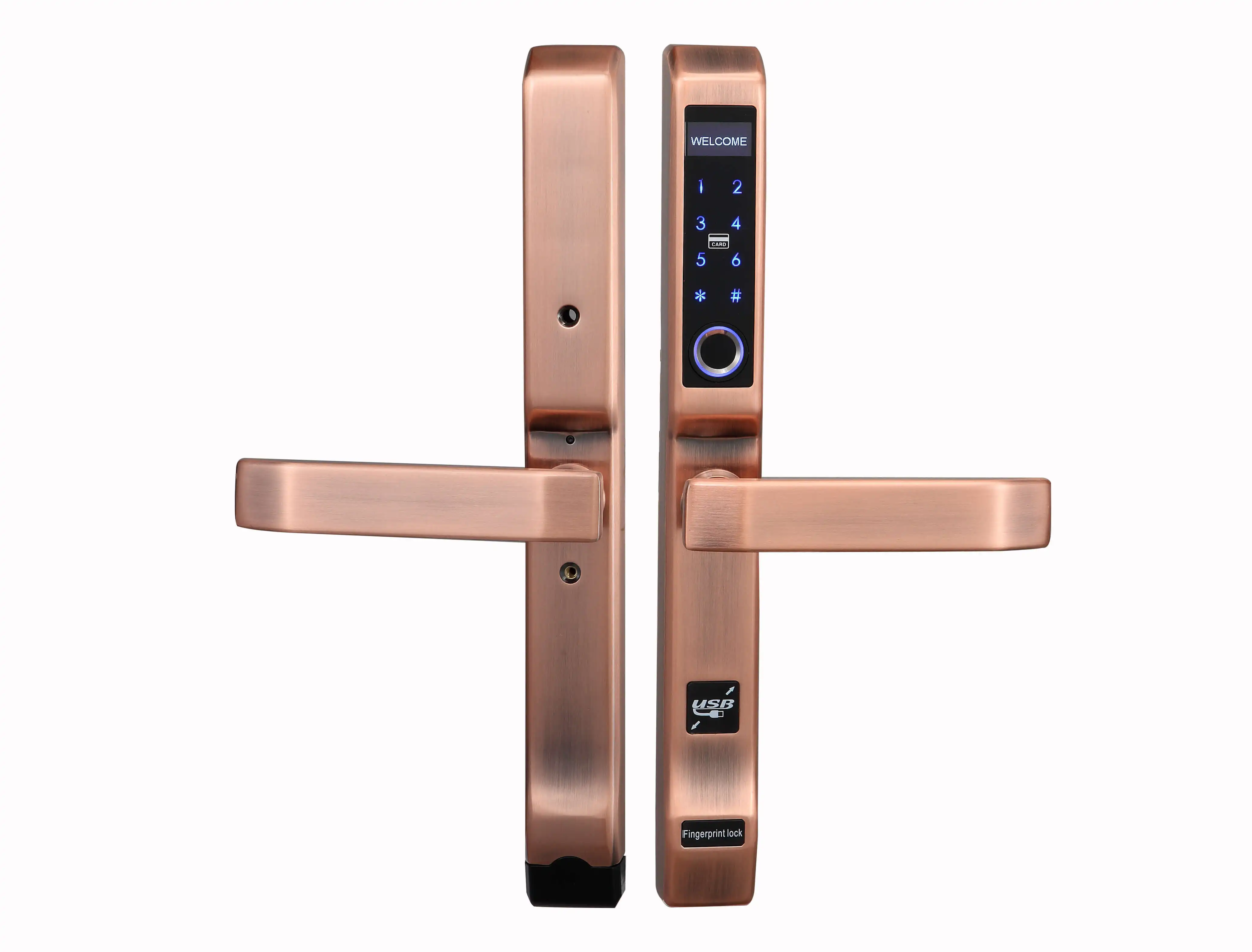 Biometric Access Control Fingerprint Sliding Wooden Door Lock Digital For Keyless Glass View