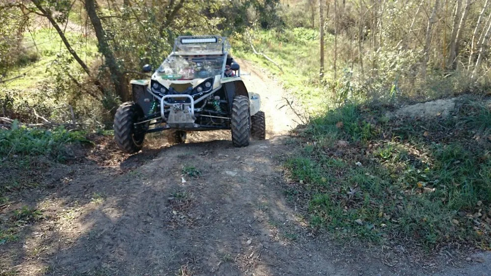 trail buggy for sale