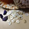 freshwater shell button for Garment