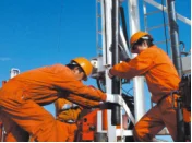 paste-pic-dp_uuid_li8ll