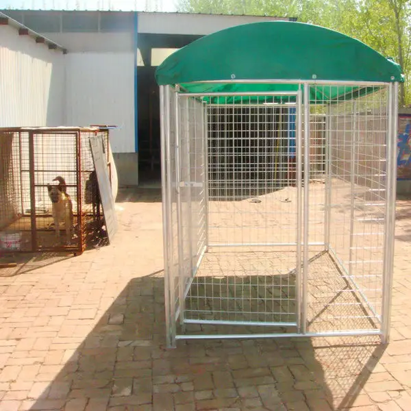 10'x10'x6' Galvanized Large Outdoor Chain Link Dog Kennel Buy 10'x10