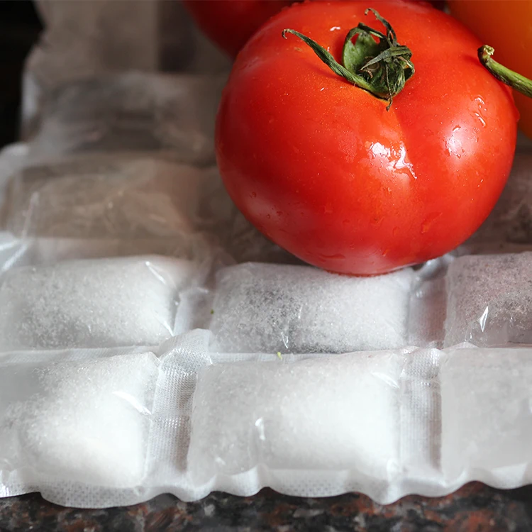 2020 new environmentally friendly gel ice bag