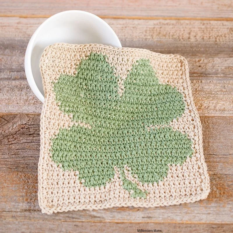9.1crochet dishcloth.jpg
