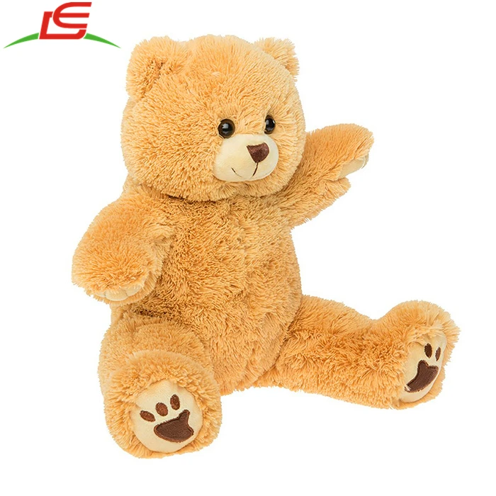 talking teddy bear gift