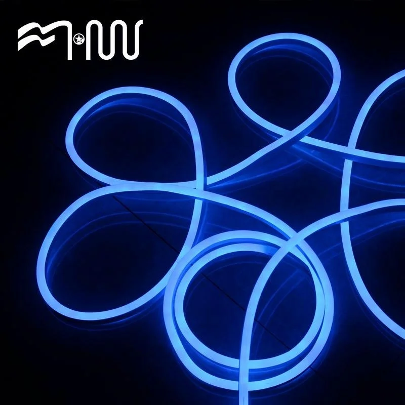 China Manufacturer flexible led neon flex strip light
