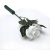 Hot sale Rainbow Forever Rose Flower in Hand Fresh Natural Rose For weddings decoration flower