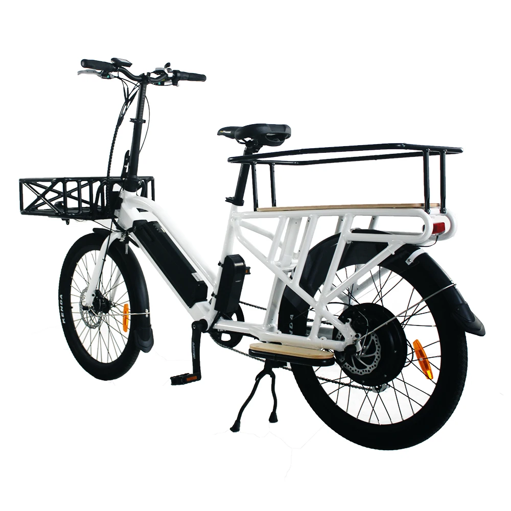 electric family bike