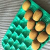 Vacuum Forming PP PET Kiwi Fruit Insert Tray used in Europe and Netherland Market in Food Grade
